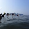江の島OWSトレーニング