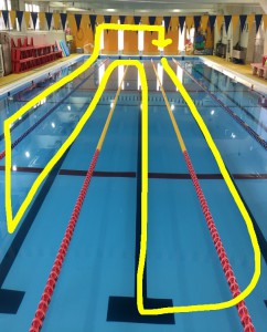 黄色の線のように泳いだり、プールサイドにあがったりを３人で横並びで進めます