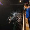 保護中: 2021佐渡海峡リレー横断泳チームメンバー連絡用ページ